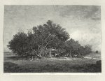 [1866]